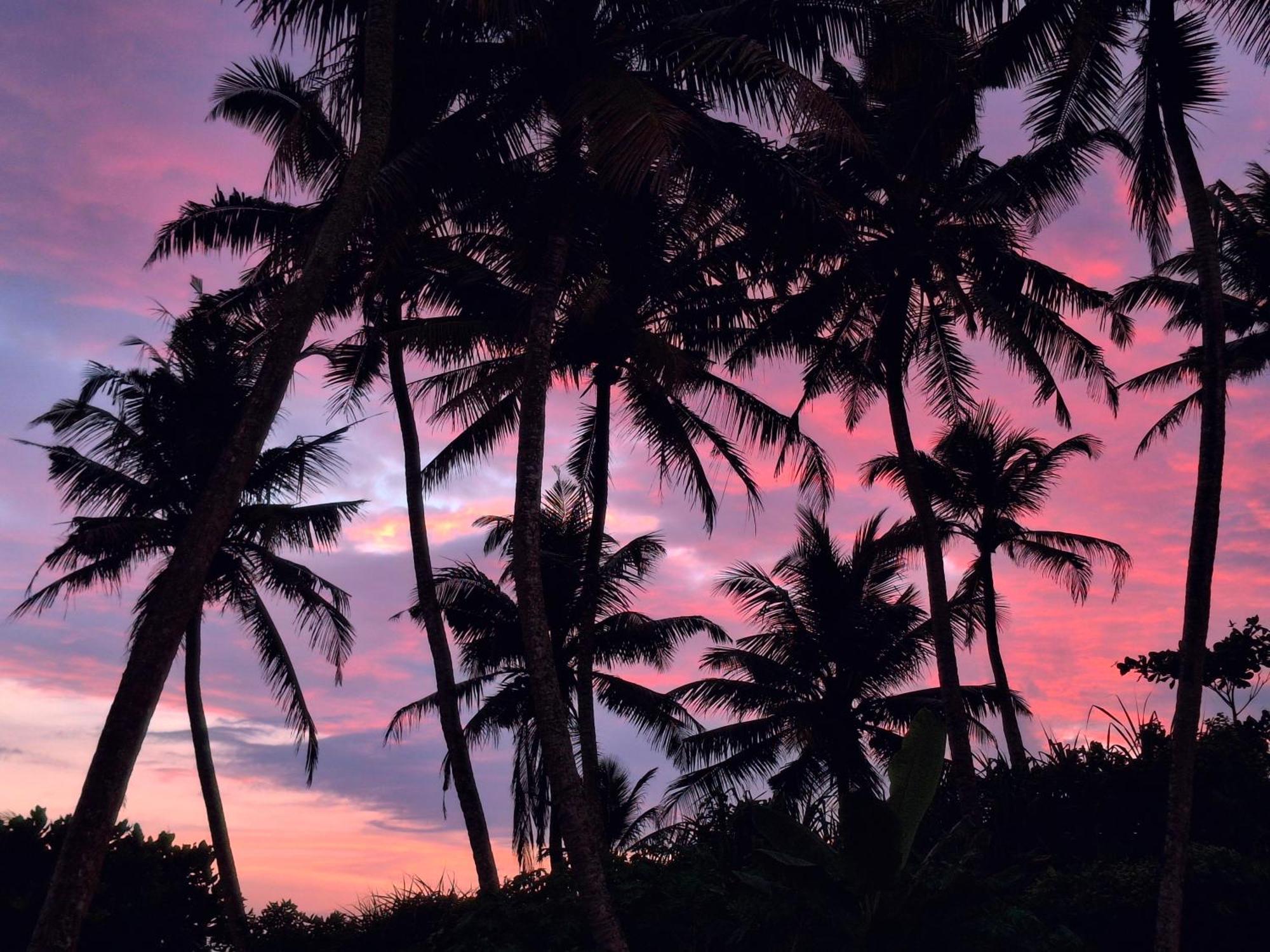 Chill House Make A Good Story With Infinite Ocean Surf And Stay Weligama Exterior foto
